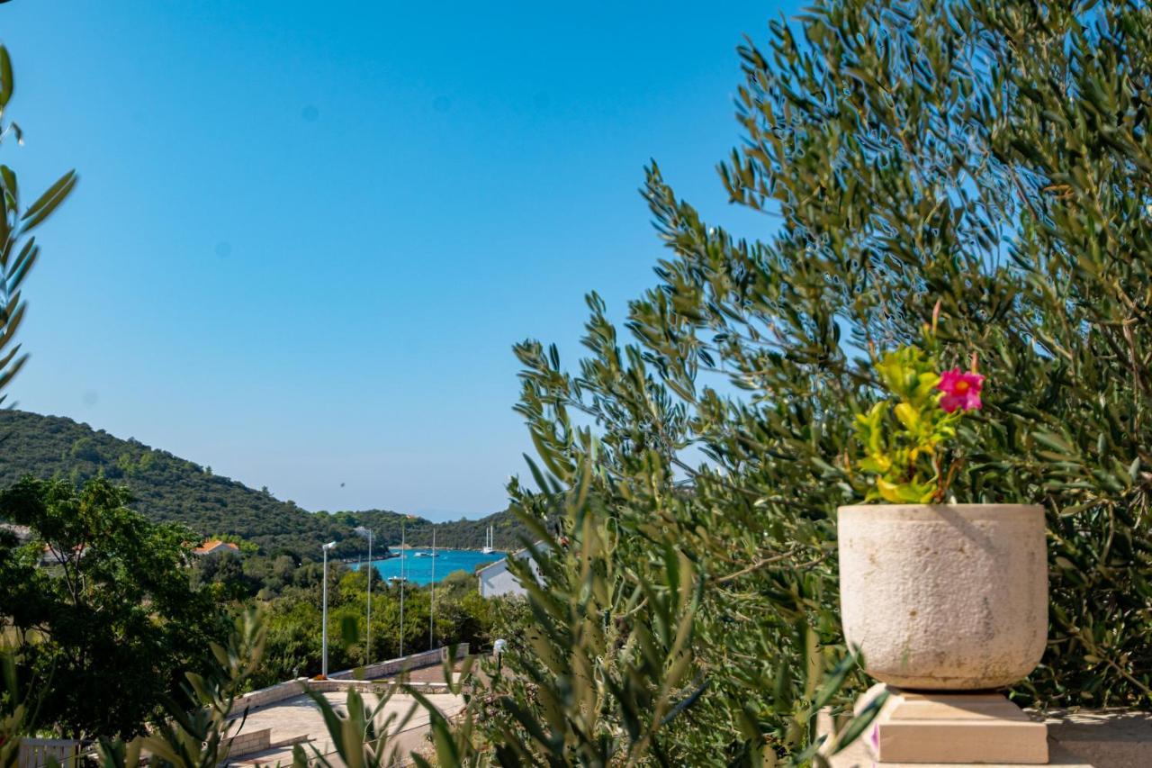 Villa Ana Zrnovo Bagian luar foto
