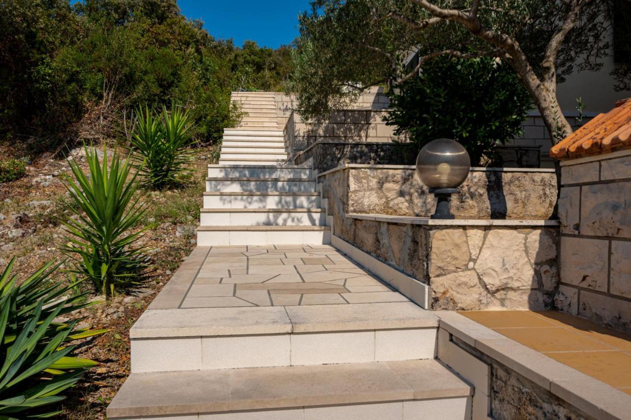 Villa Ana Zrnovo Bagian luar foto